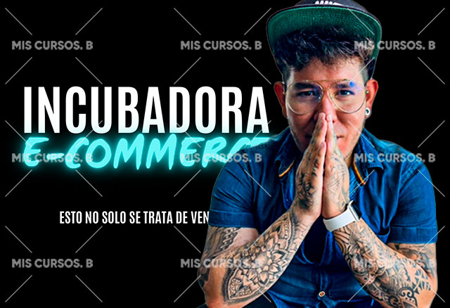 Incubadora E-Commerce de Fabian Hernandez 1 incubadora-e-commerce-de-fabian-hernandez_64254c62264b8