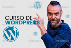 Curso de WordPress de Big Seo