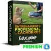 Curso Educanino – Álvaro Osorio