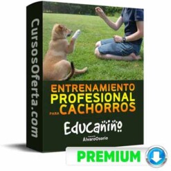 Curso Educanino – Álvaro Osorio