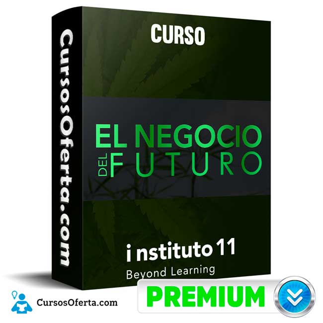 Curso El negocio del futuro – Instituto 11 1 Curso El negocio del futuro – Instituto 11