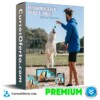 Entrenamiento para Perros de Hogar – Sthiwar Guzman