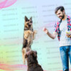 Entrenamiento para Perros de Hogar