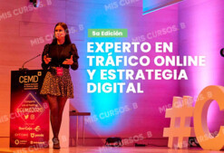 Experto en tráfico online y estrategia digital de Ana Ivars