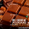 Fabrica Tus Chocolates Y Crea Tu Propia Marca