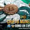 Invierte En Cripto Monedas Como Un Experto