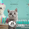 Pastelería Canina y Felina