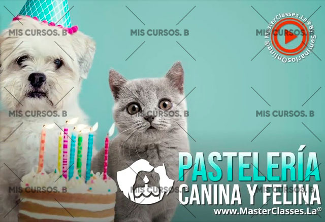 Pastelería Canina y Felina 1 Pastelería Canina y Felina