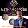 MetAMORphosis – Carlos Fernandez
