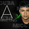 IA Marketing Ventas Automaticas de Dubner Mendoza