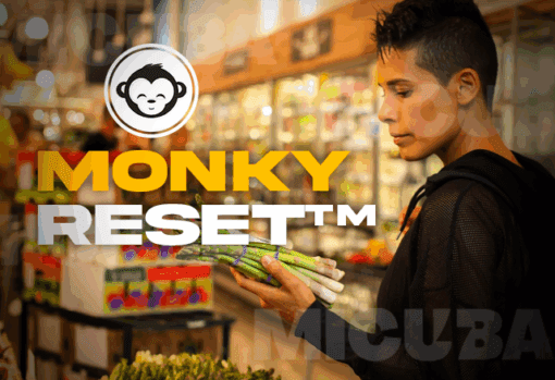 MonkyReset Transformación Integral  monkyreset transformacion integral 685d8e12a9123