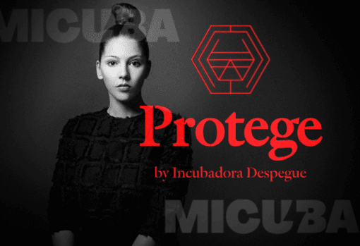 Programa de Certificaciones Protege de Incubadora Despegue programa de certificaciones protege de incubadora despegue 684a6f67e3127