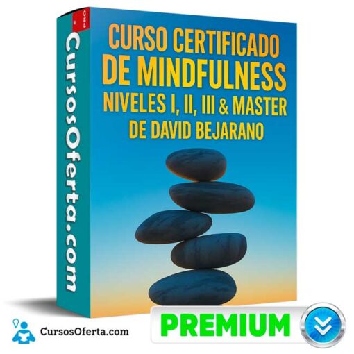Curso Certificado de Midfulness. Niveles I, II, III & Master de David Bejarano curso certificado de midfulness niveles i ii iii master de david bejarano 694e3ce7d23ea