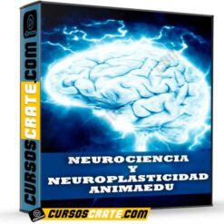 Neurociencia y Neuroplasticidad de AnimaEdu