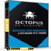 Octopus FX Academy de Octopus FX