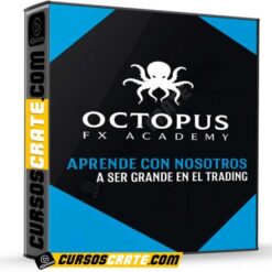 Octopus FX Academy de Octopus FX